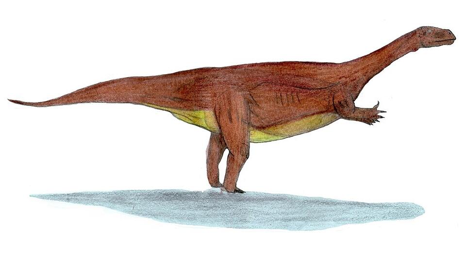 Dino Moms & Dads Were Total Softies?!