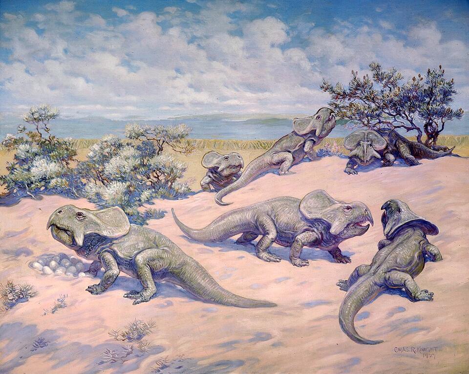 Dino Moms & Dads Were Total Softies?!
