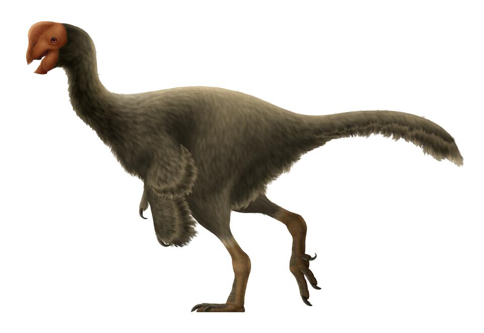 Dino Moms & Dads Were Total Softies?!