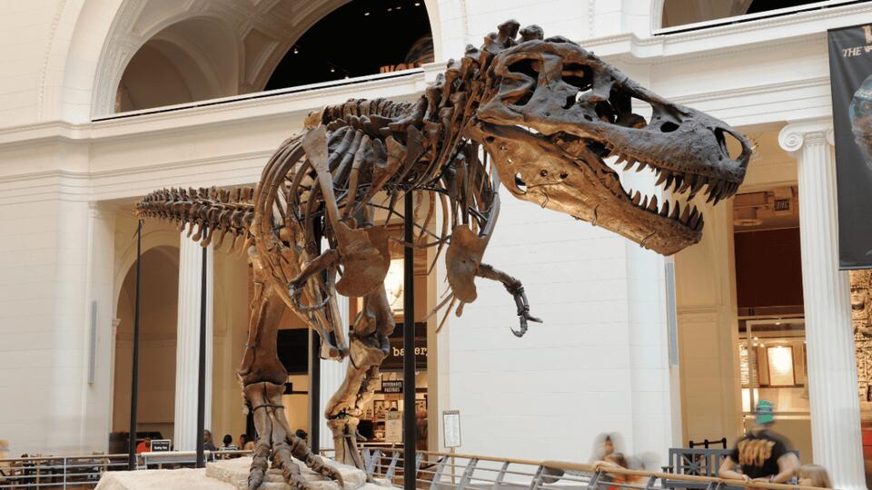 T. rex Was WAY Bigger Than We Thought!
