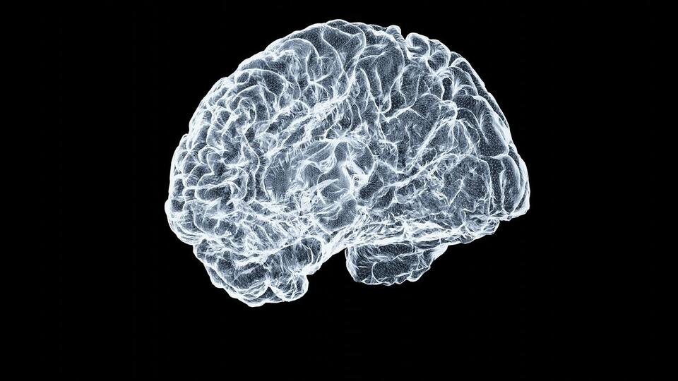 Are Notifications Hacking Our Minds?