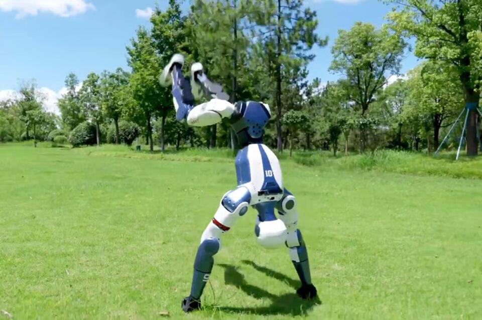 Would You Let a Humanoid Robot in Your Home?
