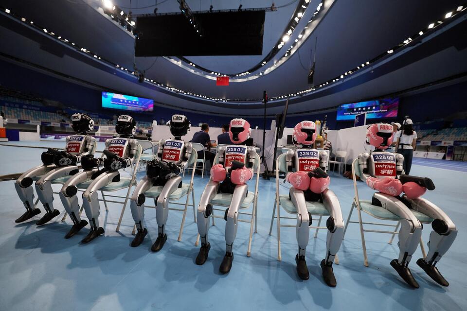 Would You Let a Humanoid Robot in Your Home?
