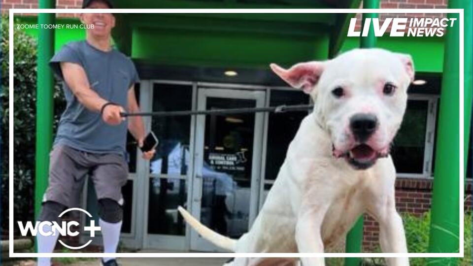 Charlotte pups get a running start to new homes