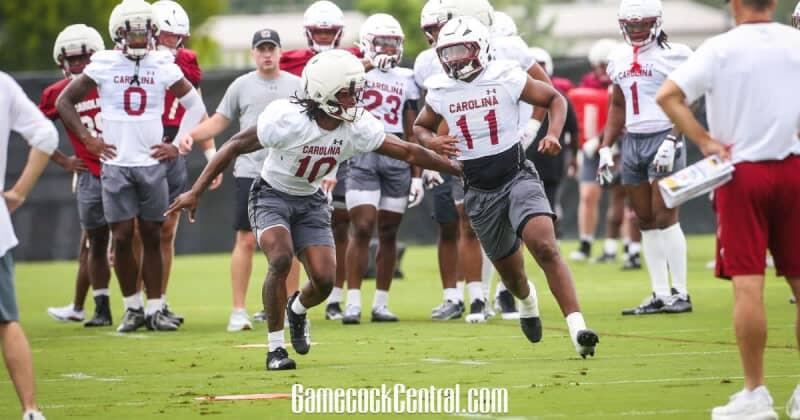 Gamecocks lose key EDGE transfer to injury