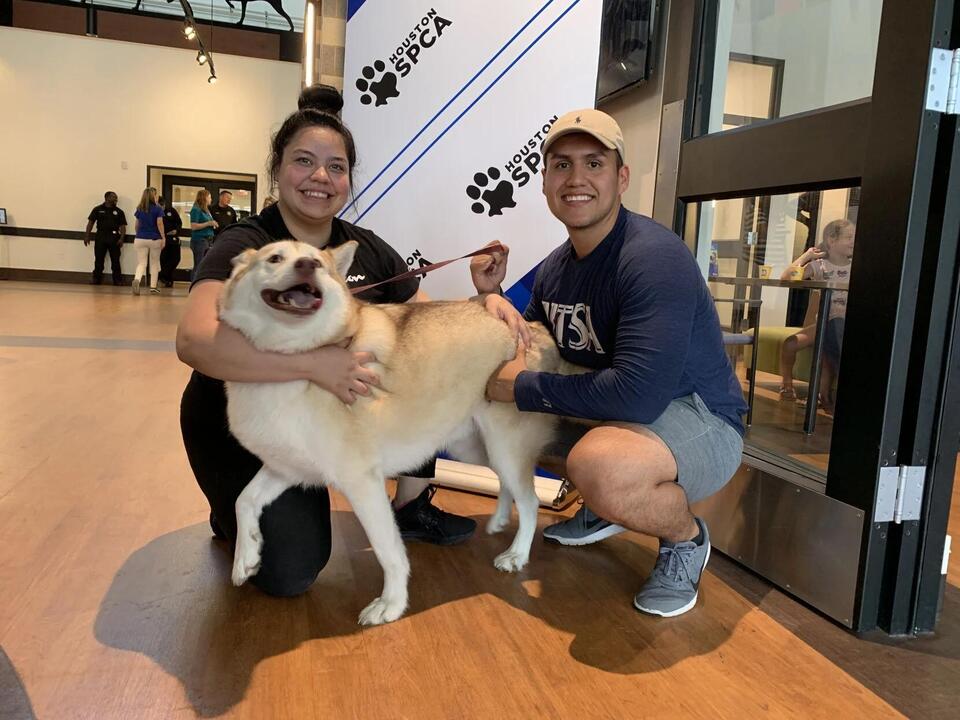 Half-off pet adoptions this Saturday in Houston!
