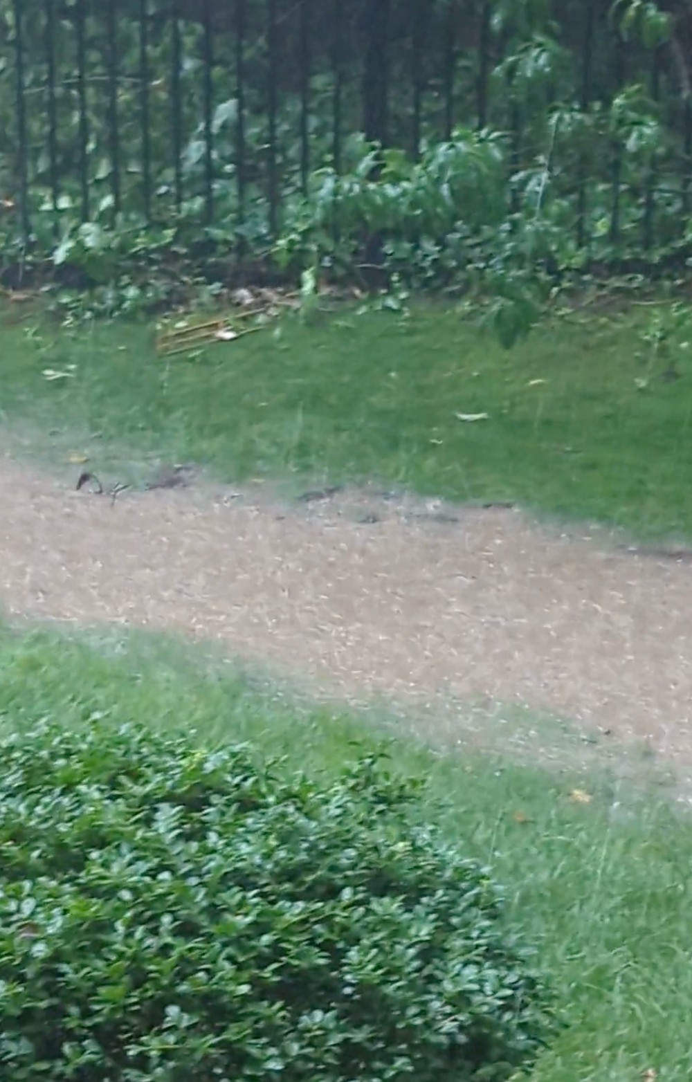 My New House Has A River In The Backyard When It Rains 😂