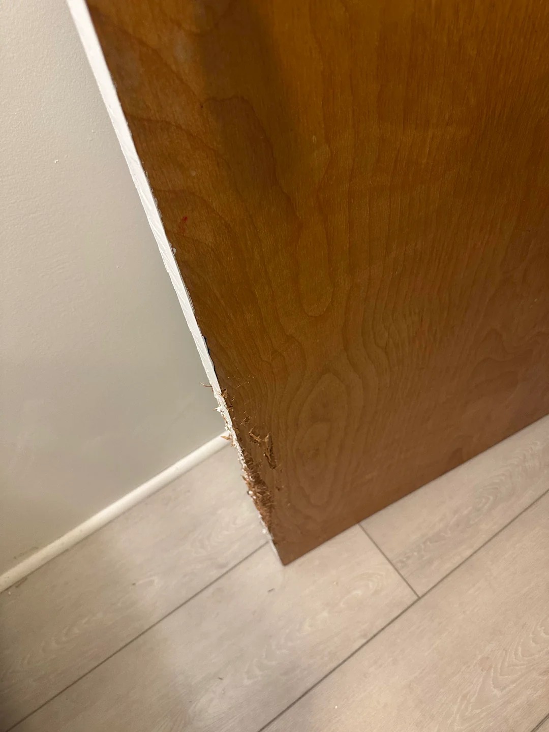 Vacation surprise. The basement bathroom door was totally gnawed on
