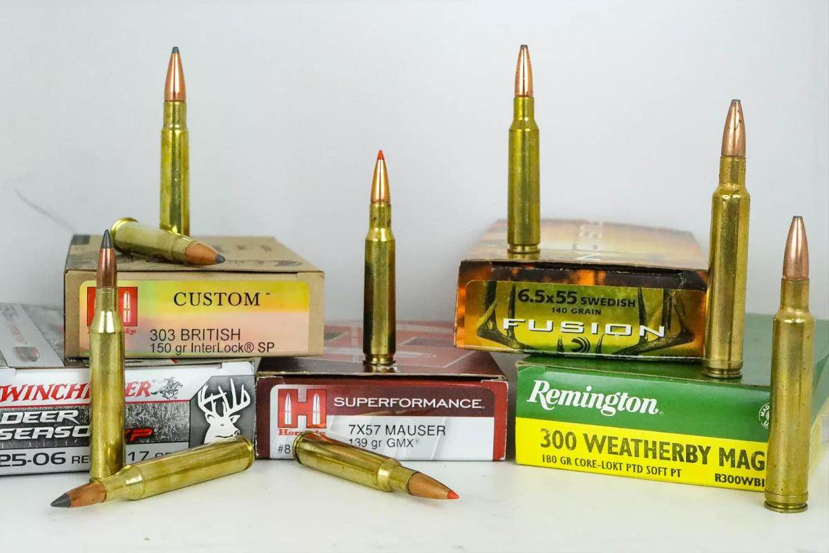 Stop overthinking cartridges and just go hunt 🏹