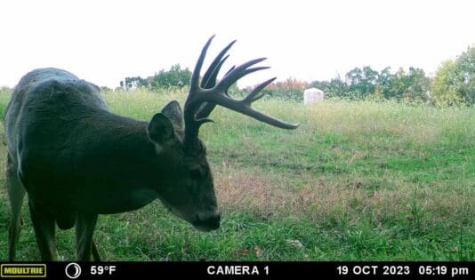 Trail cam "ownership" drives me crazy