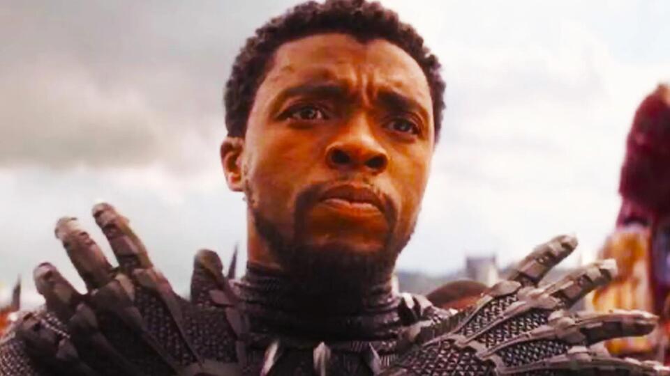 Black Panther’s Son Shocks Fandom! 🐾