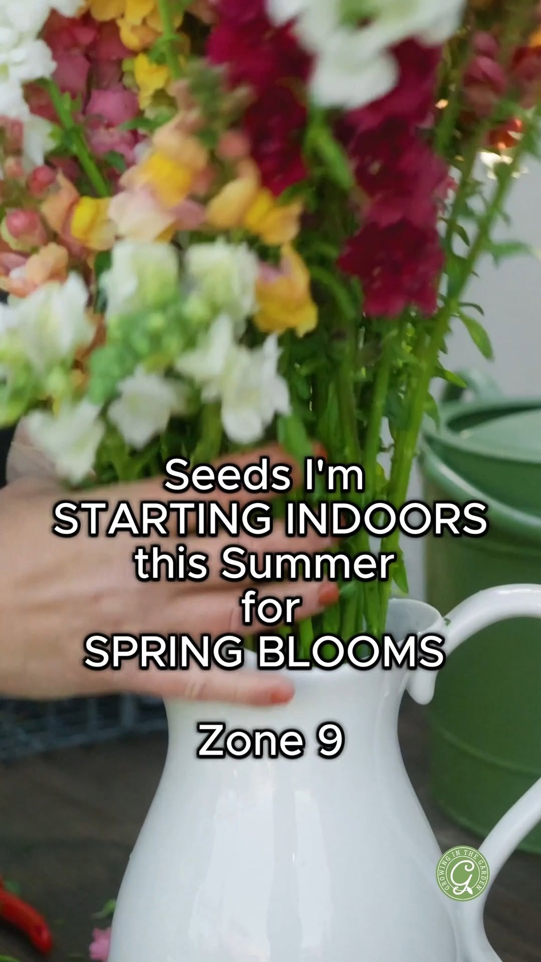 Spring blooms start now: Seed tips for gardeners