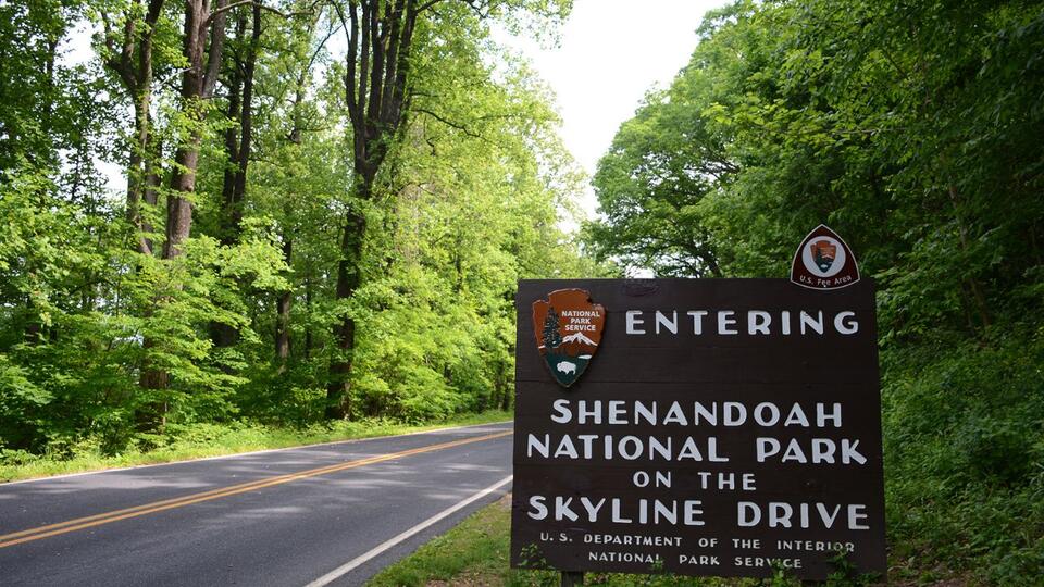 Epic National Park Road Trips You Gotta Try