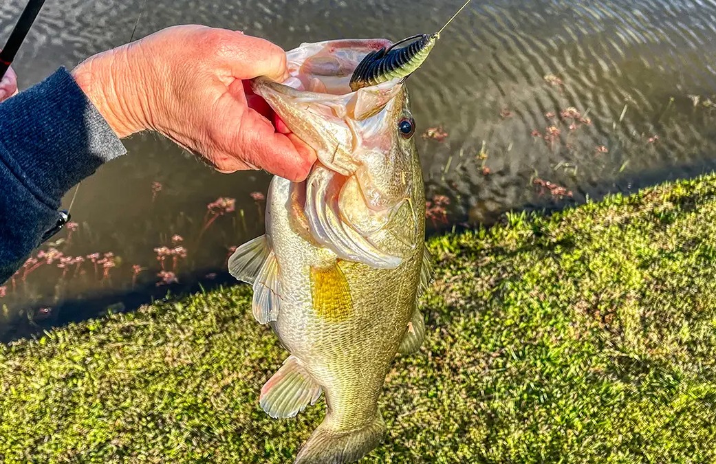 Some of my favorite shore spots that always produce fish