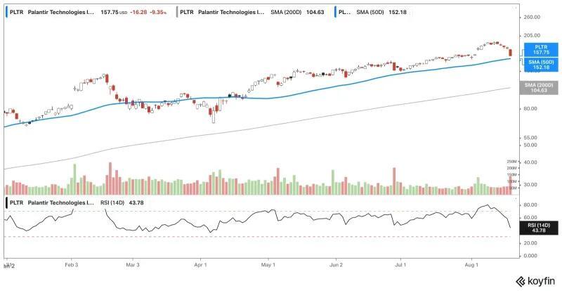 Palantir Stock Drama: Should You Hold or Fold?