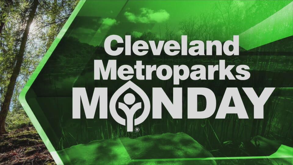 Akron Zoo’s hidden paws: Can you find them?