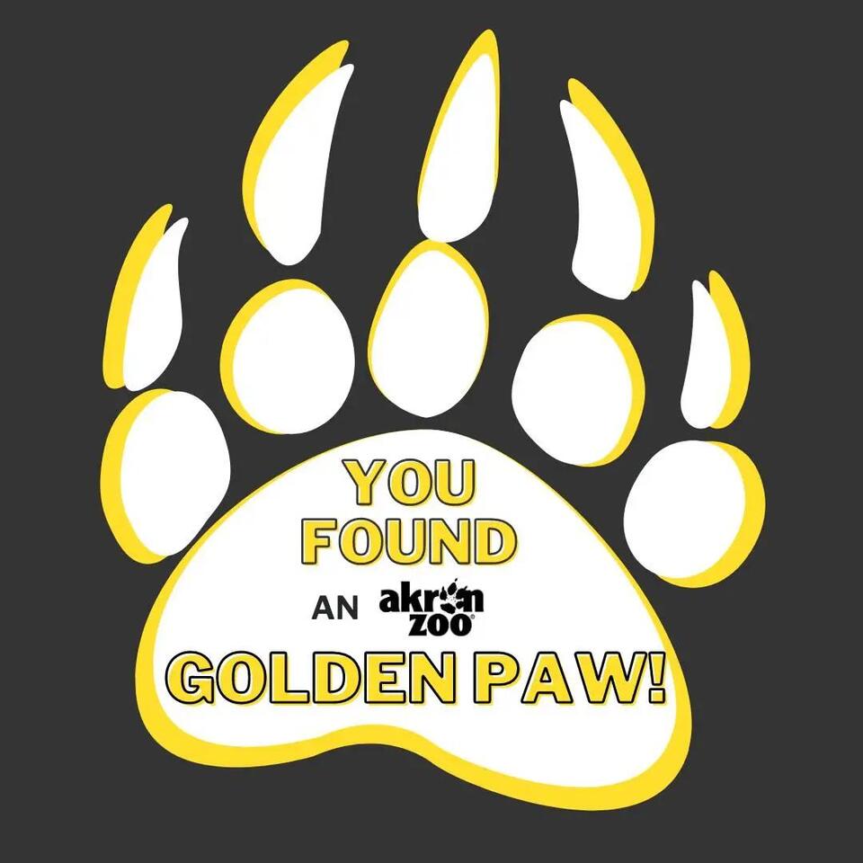 Akron Zoo’s hidden paws: Can you find them?