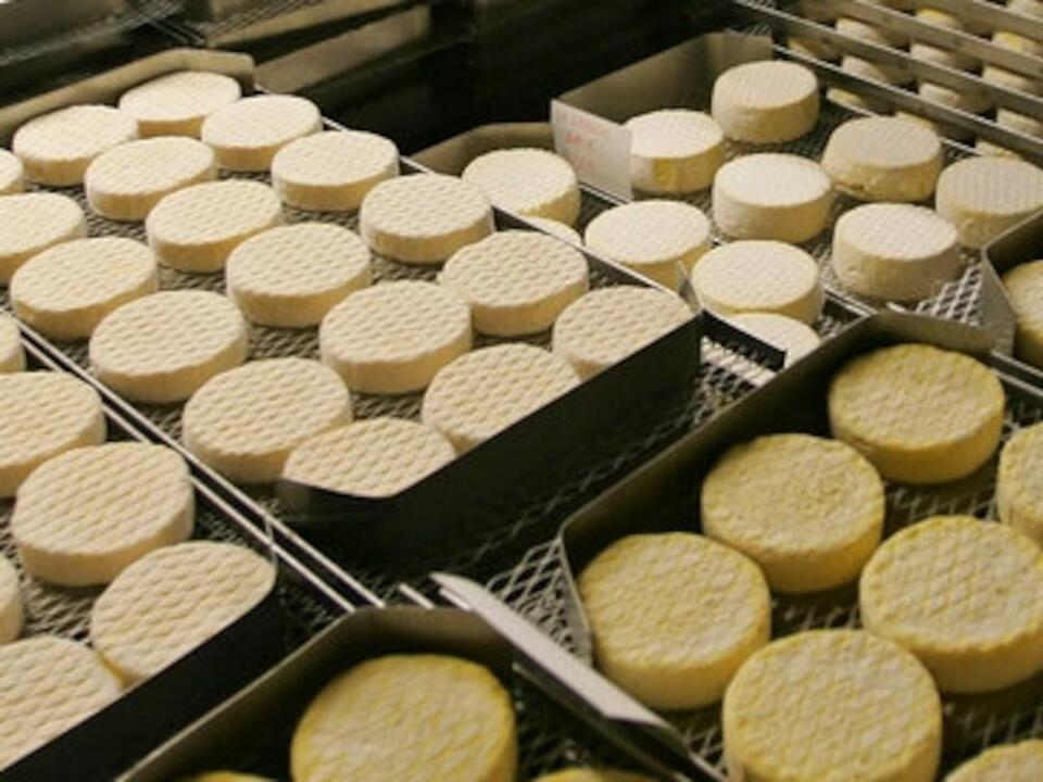 Brooklyn cheese lovers: Important recall alert