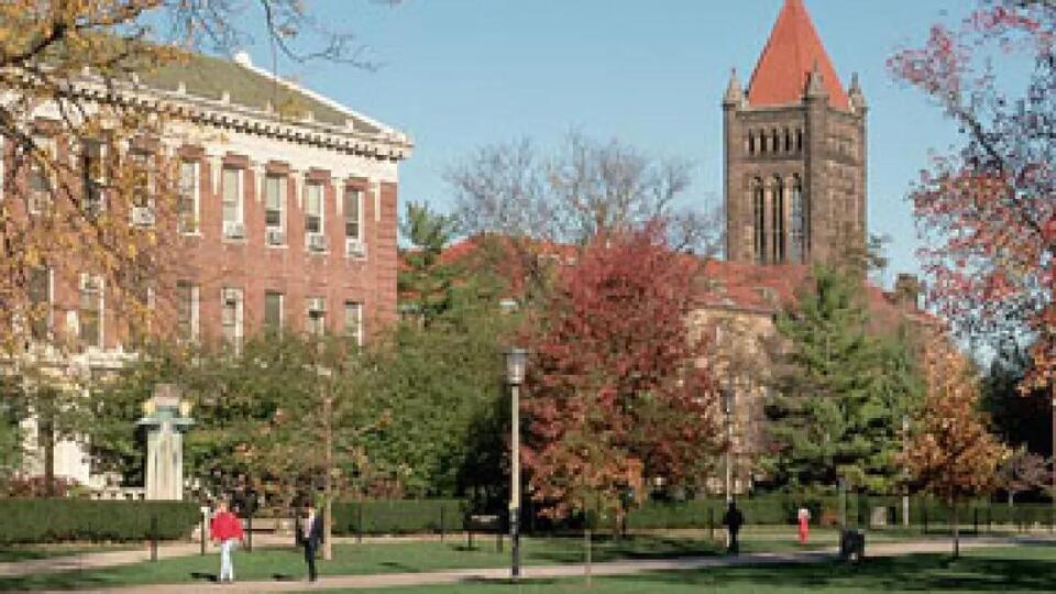 Illinois students can skip essays for college