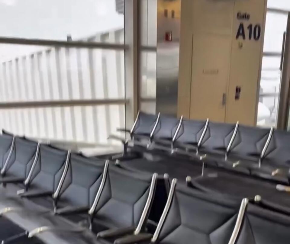 Mice spotted at Detroit Metro Airport!