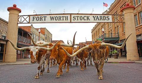 Meet Fort Worth’s new trail boss!