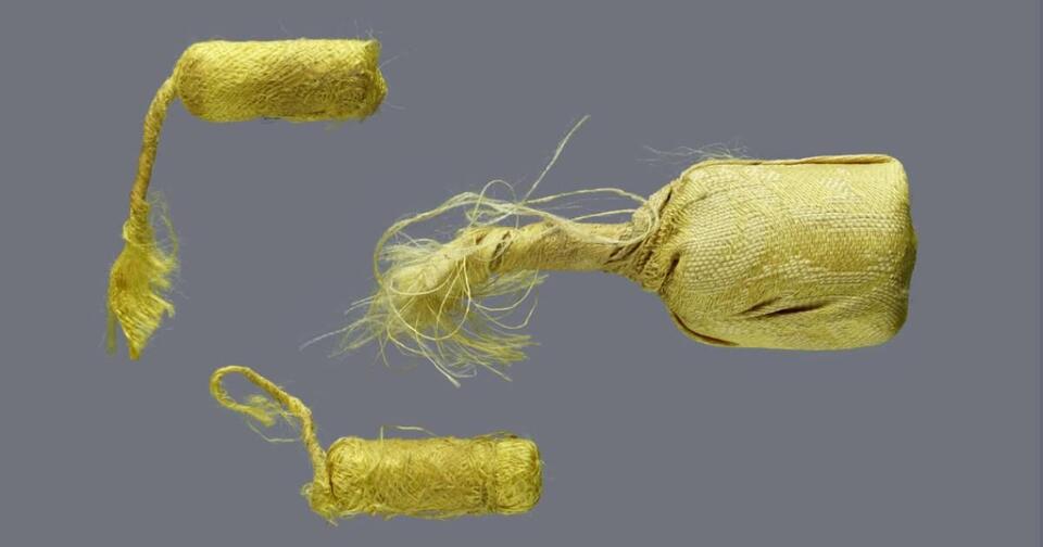 Berlin Museum’s Scroll Tech Twist! 🧐