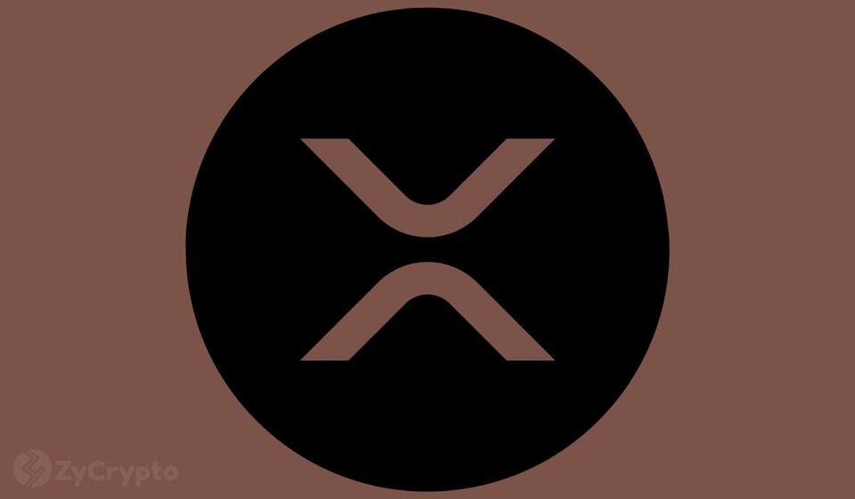 XRP’s Big Money Rush: Is It the Next Crypto Star?