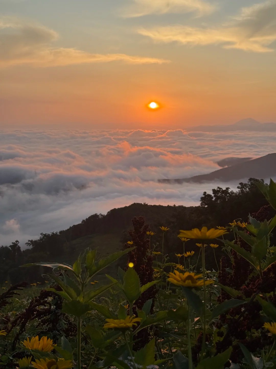 Morning hike above the clouds