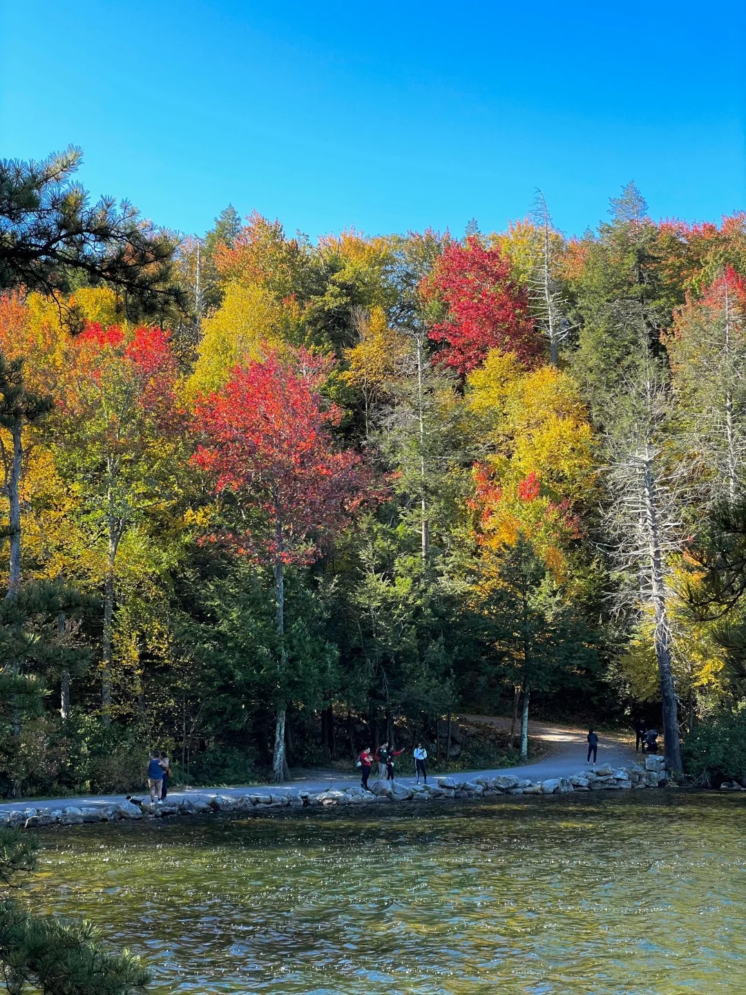 MyOutdoorMoment- Golden fall trail in New York