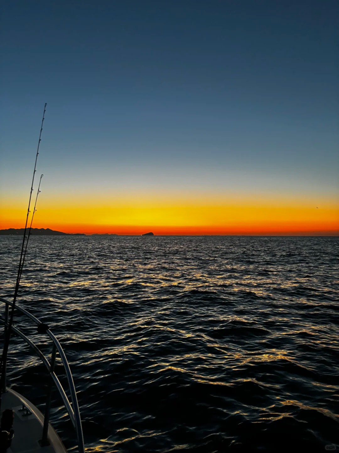 A memorable sunrise catch ⛵️✨🚢