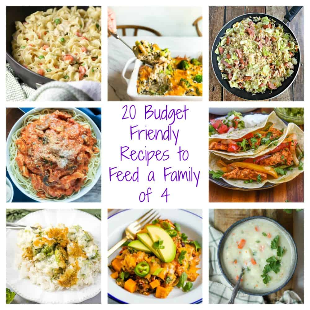 how i feed a family of 4 with $20 a week 