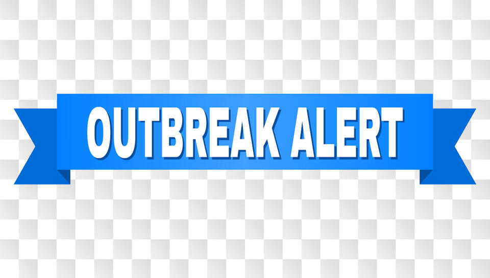Food Outbreaks: What’s Safe to Eat Now?