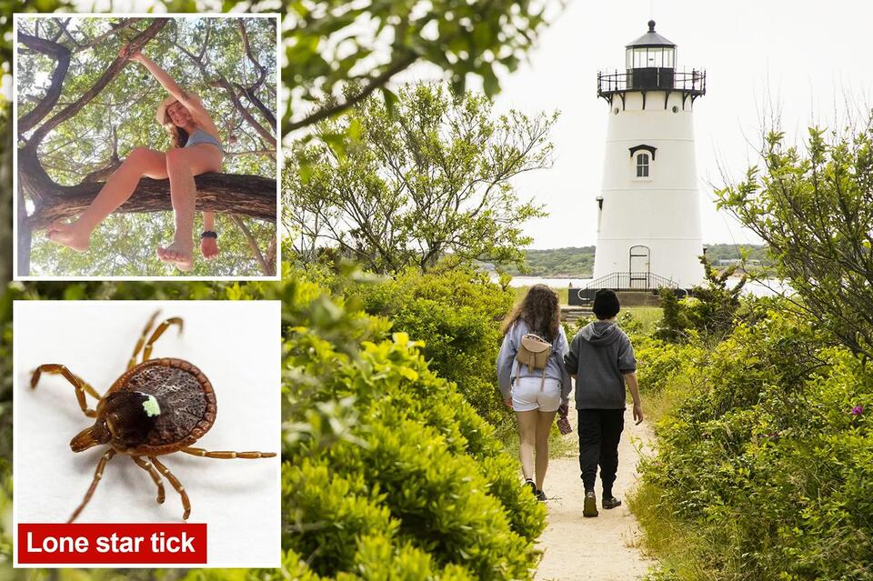 Martha’s Vineyard’s BBQ season upended by tick allergy