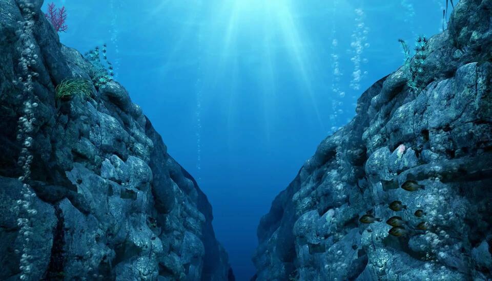 Deepest Ocean Creatures Found—Mind Blown!
