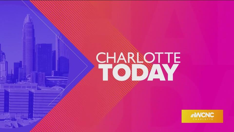 Charlotte pets need you: Free adoptions this Saturday!