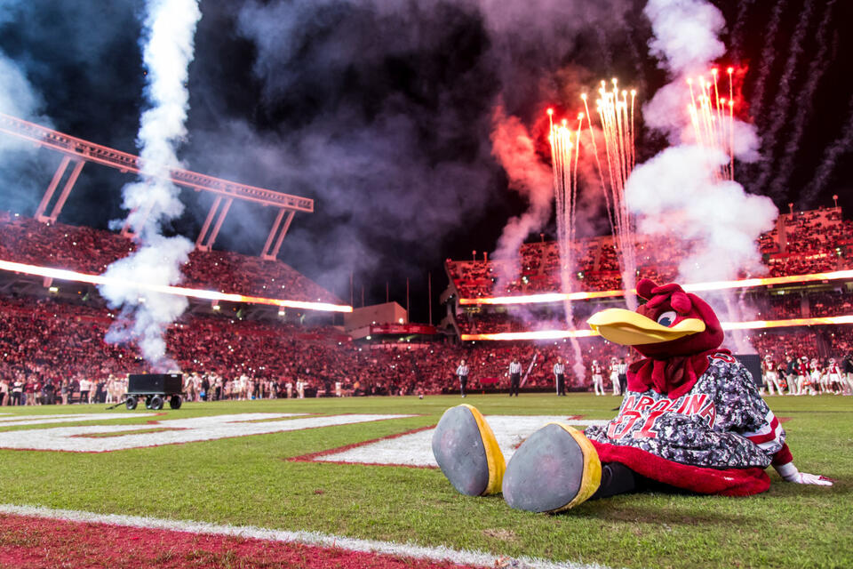 Gamecocks’ big switch: Nike takes over in 2026
