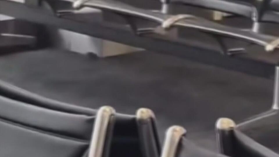 Rats spotted at Detroit Metro Airport spark concern