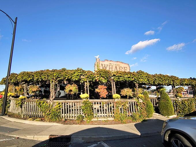 Erie’s hidden gem for unforgettable mussels