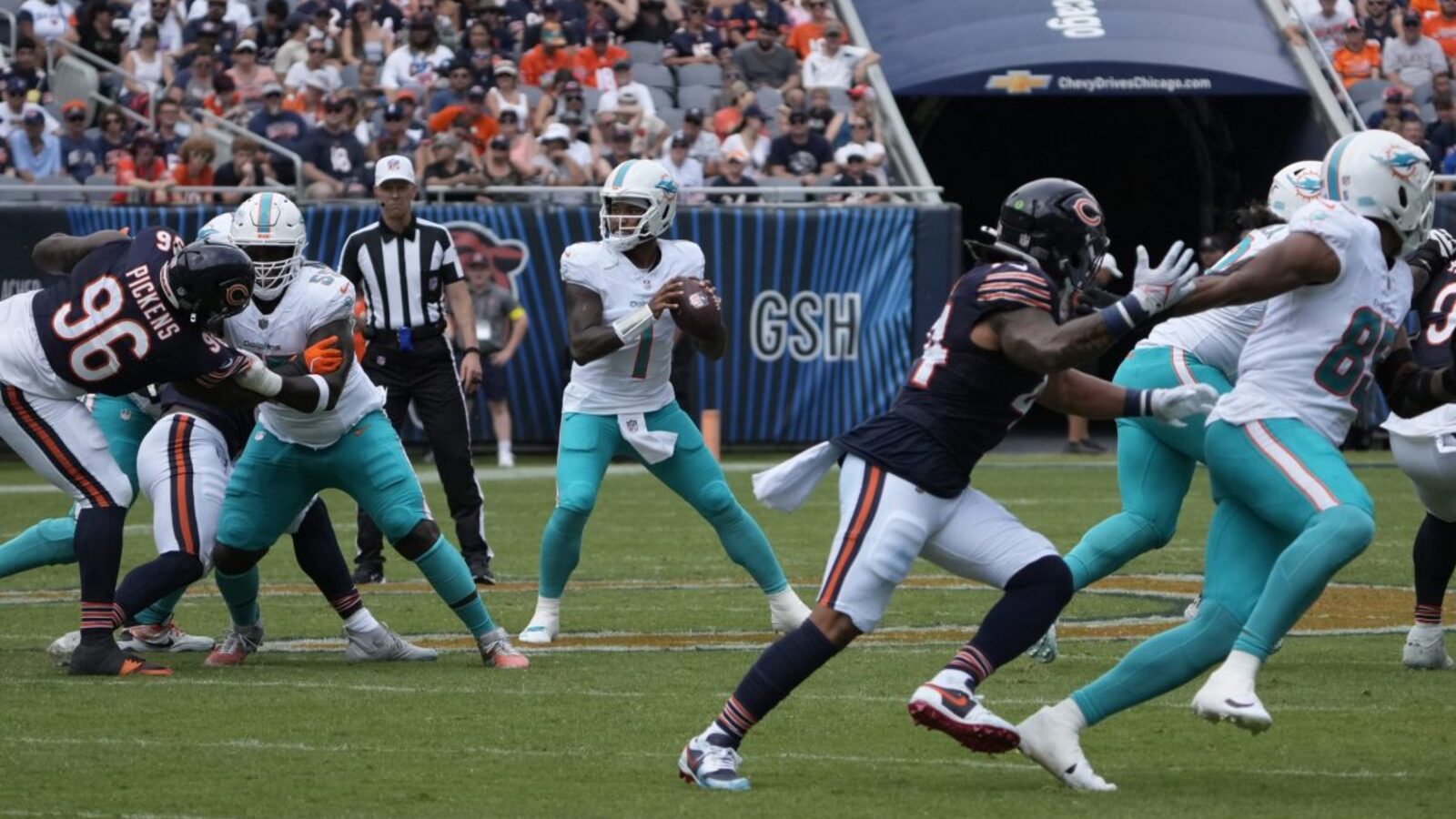 Bears bring the heat—too much or just right?