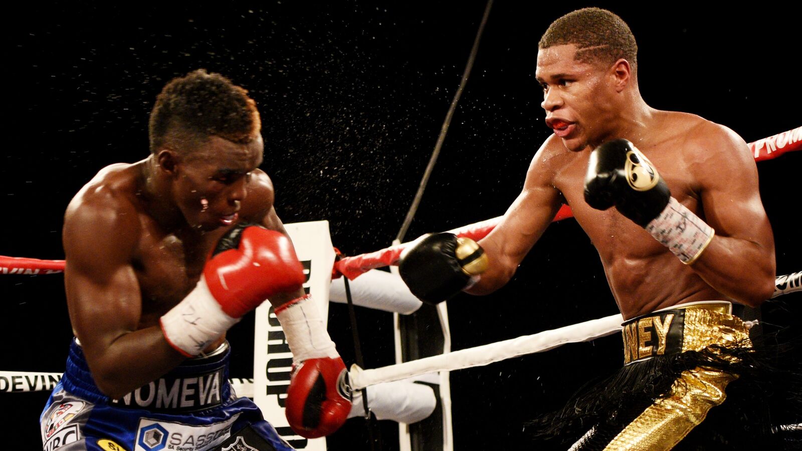 Haney wants Ward as his trainer now?