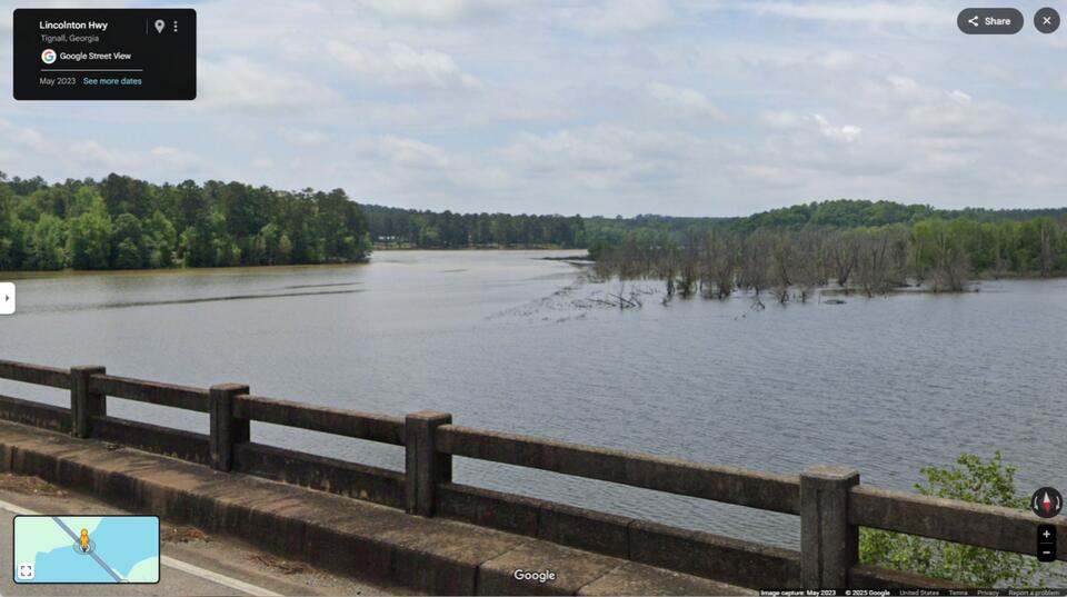 Gold-scaled river predator discovered in Georgia