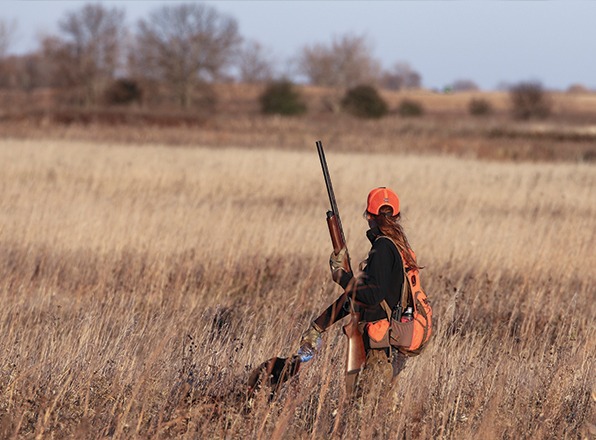 Why I chose bird dogs over bow hunting