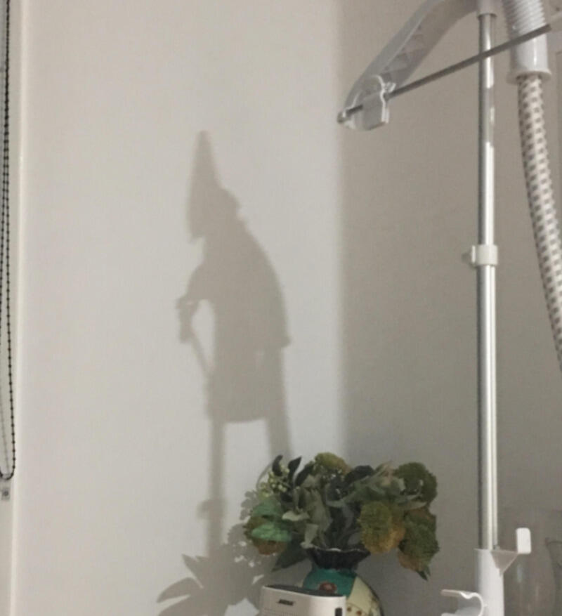 Shadow Drama: Is That a Witch or a Centaur? 🕵️‍♂️