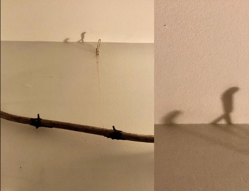 Shadow Drama: Is That a Witch or a Centaur? 🕵️‍♂️
