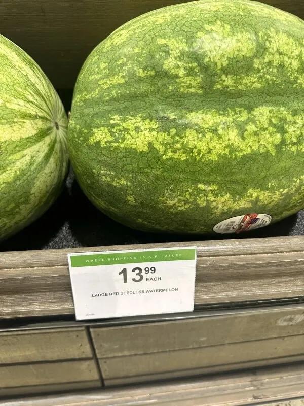 Why Are Groceries So Pricey—And Still Wasted?