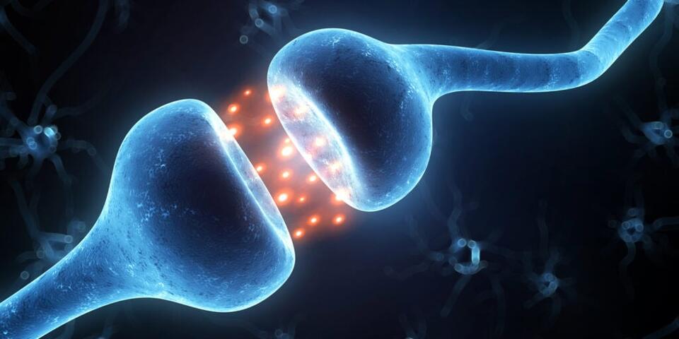 Could This Parkinson’s Drug Curb Drinking?