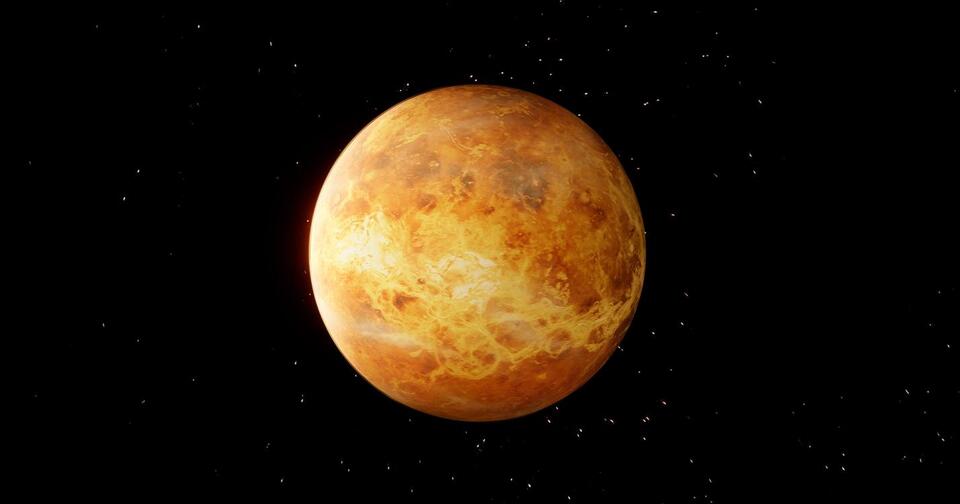Venus in Leo = Summer Love Drama?