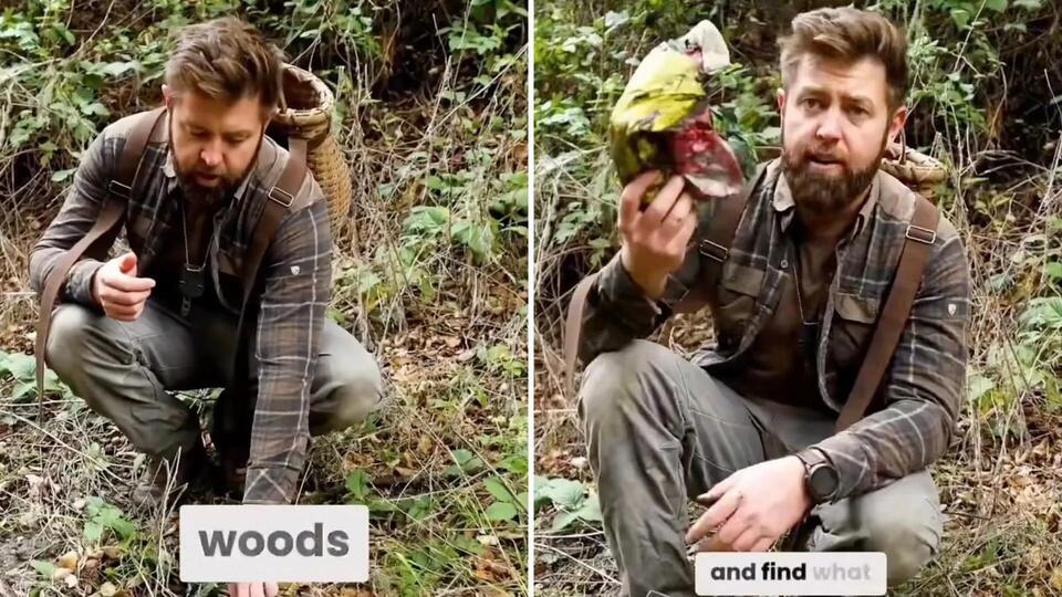 You Won’t Believe What’s Lurking in the Deep Woods