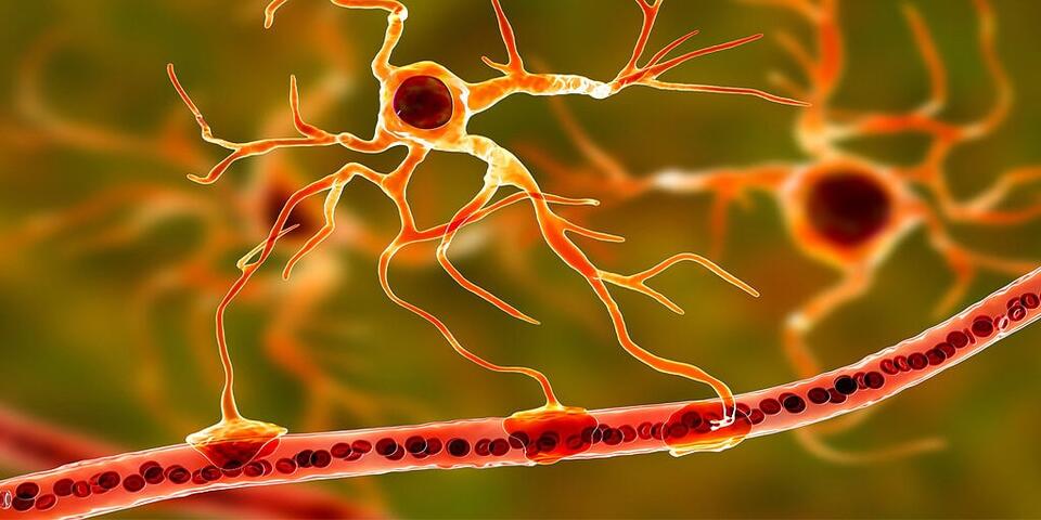 Microplastics Might Mess With Your Brain