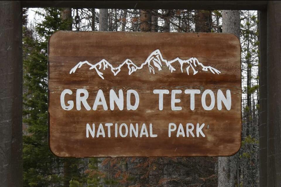 Bat scare at Grand Teton: Rabies risk alert